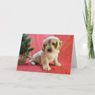 De Kaart van de Vakantie van Goldendoodle
