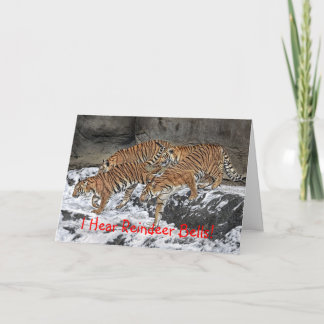 De Kaart van de Vakantie van het Pak van de tijger