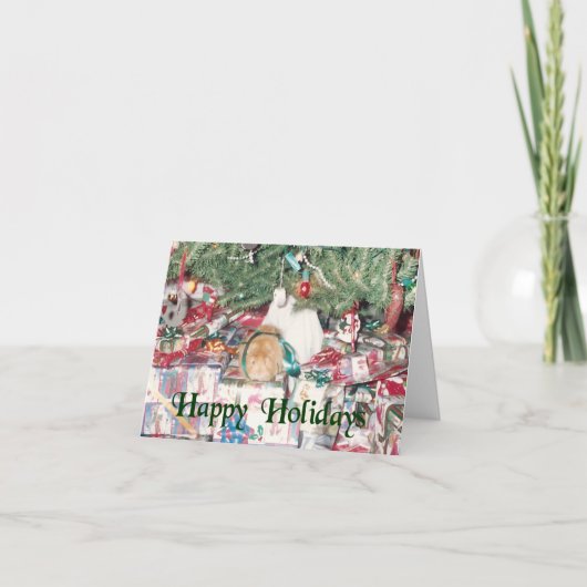 De Kaart van de Vakantie van het proefkonijn (Voorkant)