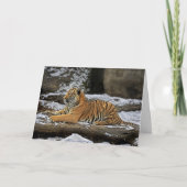 De Kaart van de Vakantie van het Profiel van de (Voorkant)