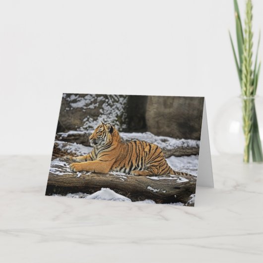 De Kaart van de Vakantie van het Profiel van de (Voorkant)