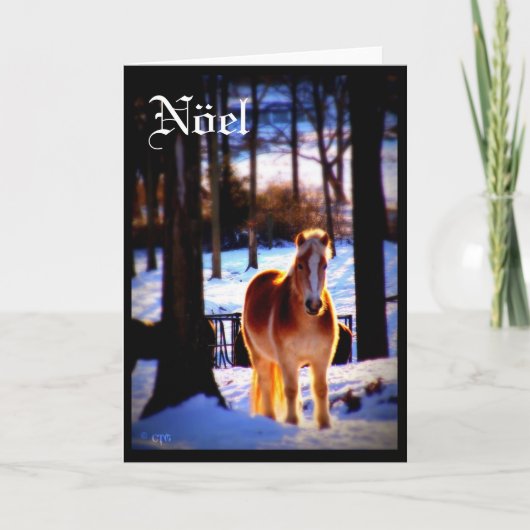 De Kaart van de Vakantie van Nöel (Voorkant)