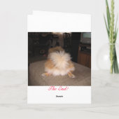 De Kaart van de Vakantie van Pomeranian (Achterkant)