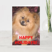 De Kaart van de Vakantie van Pomeranian (Voorkant)