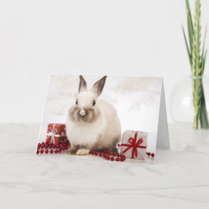 De kaart van de Vakantie WildRescue!