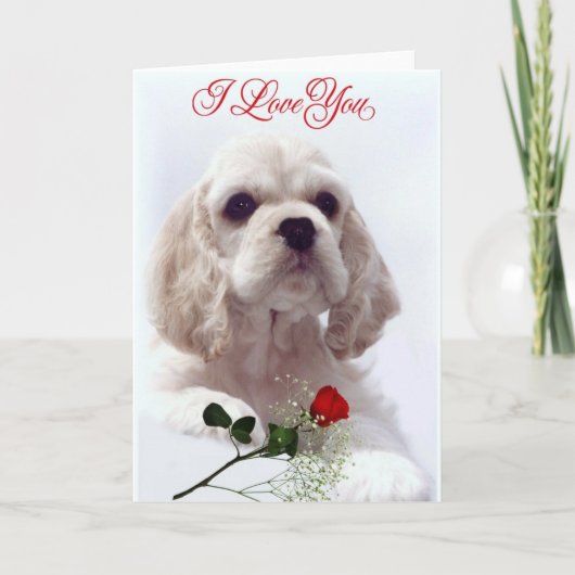 De kaart van de Valentijnsdag (Voorkant)