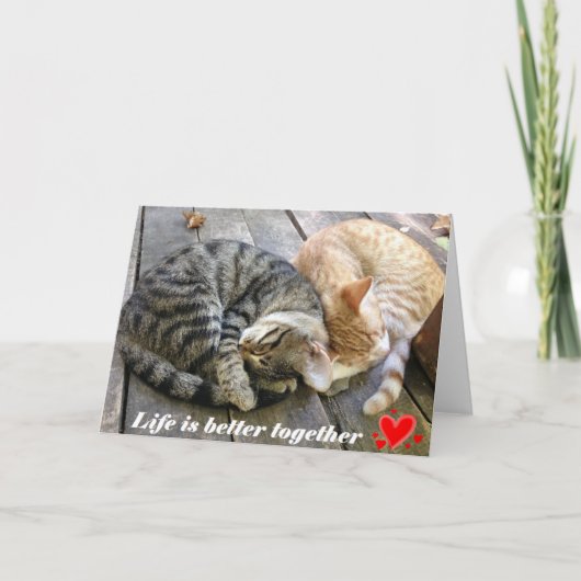 De kaart van de Valentijnsdag met katten - spatie (Voorkant)