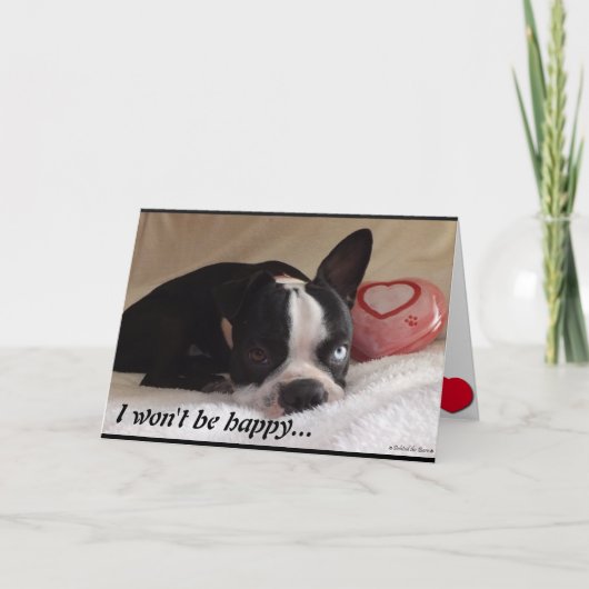 De Kaart van de Valentijnsdag van Boston Terrier (Voorkant)