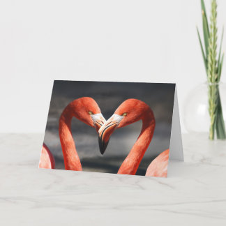 De Kaart van de Valentijnsdag van de flamingo