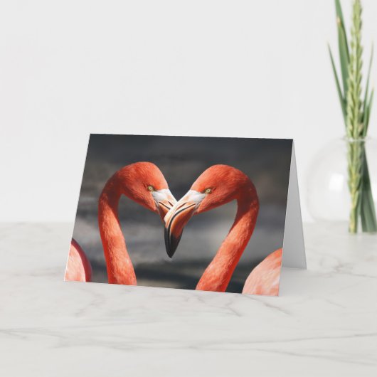 De Kaart van de Valentijnsdag van de flamingo (Voorkant)