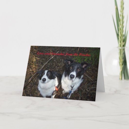 De Kaart van de Valentijnsdag van de Honden (Voorkant)