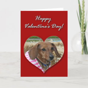 De Kaart van de Valentijnsdag van de tekkel