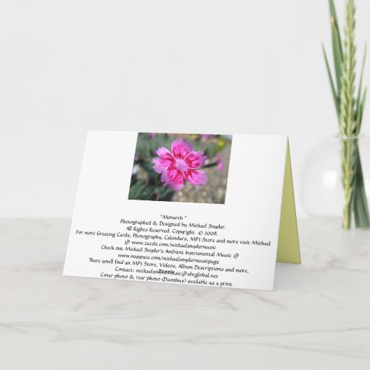 De Kaart van de Valentijnsdag van de vlinder (Achterkant)