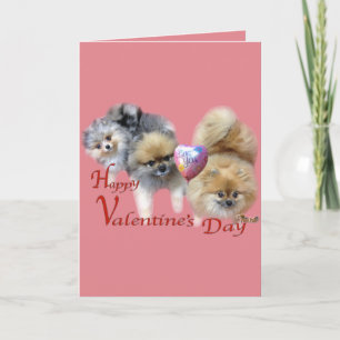 De Kaart van de Valentijnsdag van Mijn Pom Pals