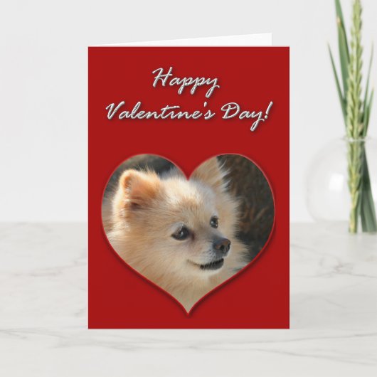 De Kaart van de Valentijnsdag van Pomeranian (Voorkant)