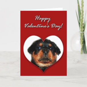 De Kaart van de Valentijnsdag van Rottweiler