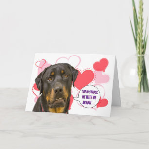 De Kaart van de Valentijnsdag van Rottweiler