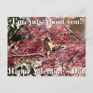 De Kaart van de Valentijnsdag voor school