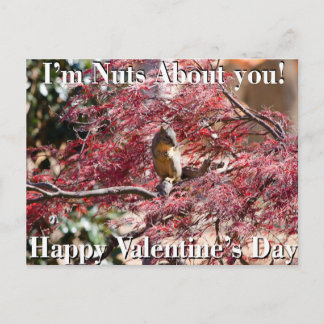 De Kaart van de Valentijnsdag voor school