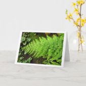 De Kaart van de varen (Gele Bloem)