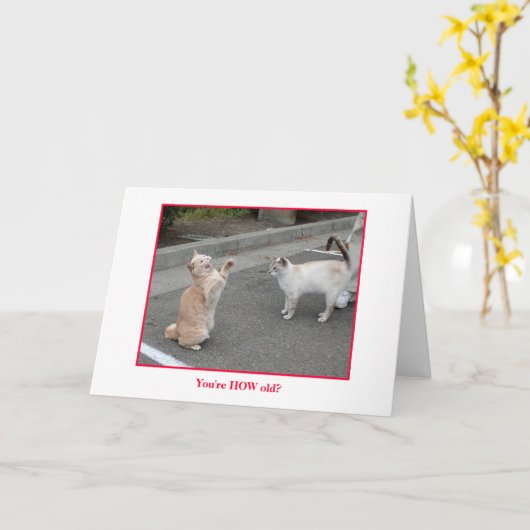 De kaart van de verjaardag (Gele Bloem)