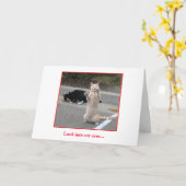 De Kaart van de verjaardag (Gele Bloem)