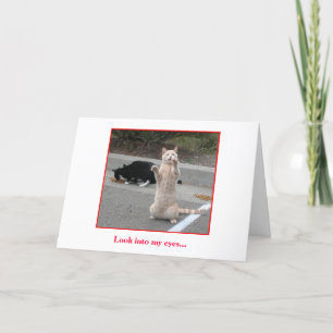 De Kaart van de verjaardag