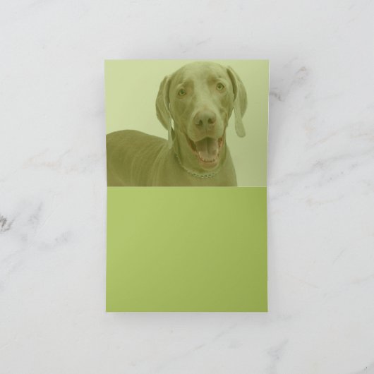 De Kaart van de verjaardag (Binnen)