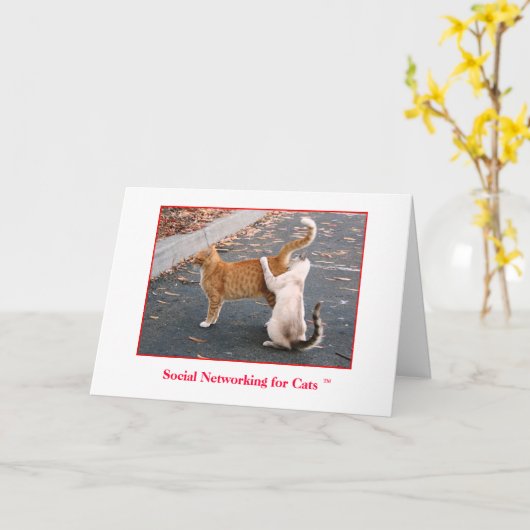 De Kaart van de verjaardag (Gele Bloem)