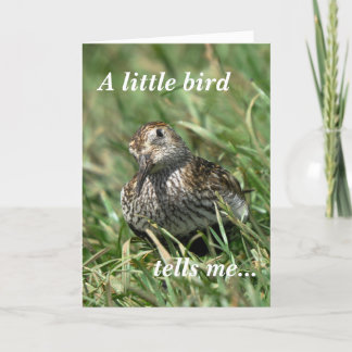 De Kaart van de verjaardag: Dunlin