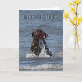 De Kaart van de verjaardag - het Spelen van de (Gele Bloem)