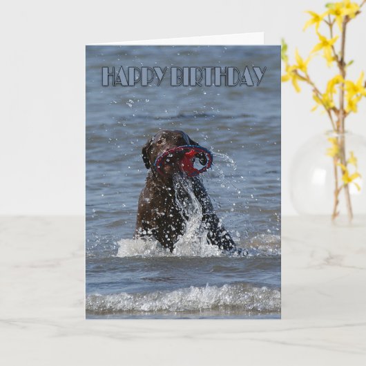 De Kaart van de verjaardag - het Spelen van de (Gele Bloem)