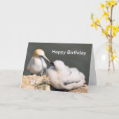 De Kaart van de verjaardag: Jan-van-gent en Kuiken (Gele Bloem)