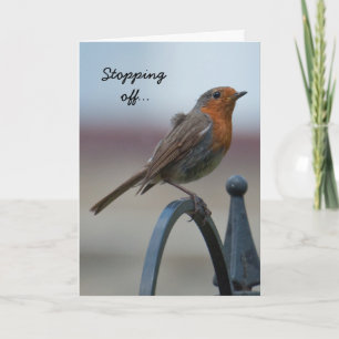 De Kaart van de verjaardag: Jonge Britse Robin