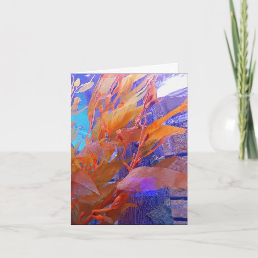 De Kaart van de verjaardag - Mariene Kelp (Voorkant)