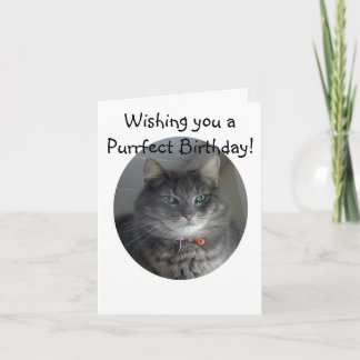 De Kaart van de verjaardag - Merlin de Kat