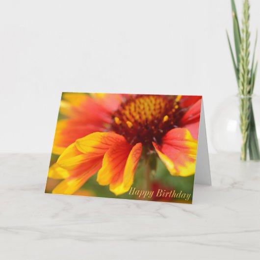 De Kaart van de verjaardag met Oranje Bloem (Voorkant)