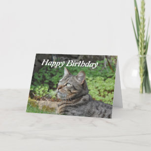 De Kaart van de verjaardag: Minnie de Kat