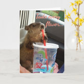 De Kaart van de Verjaardag Mozes en Maude (Gele Bloem)