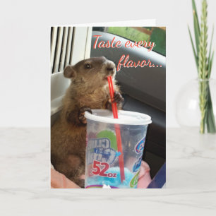 De Kaart van de Verjaardag Mozes en Maude