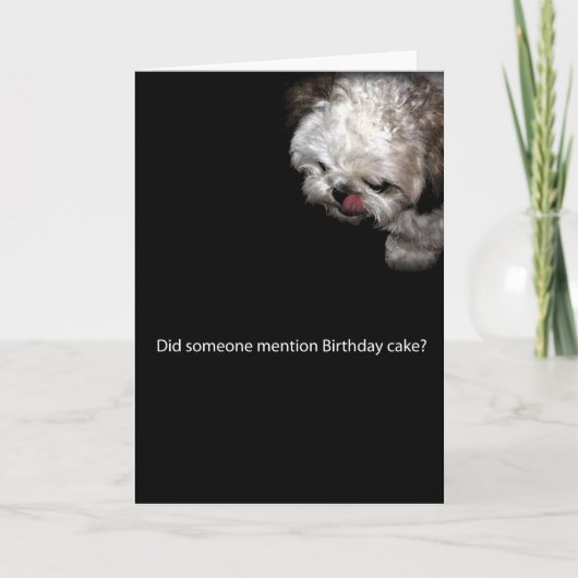 De Kaart van de Verjaardag shih-Tzu (Voorkant)