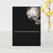 De Kaart van de Verjaardag shih-Tzu (Gele Bloem)