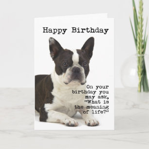De Kaart van de Verjaardag van Boston Terrier