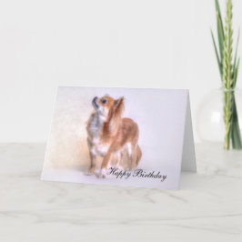 De kaart van de Verjaardag van Chihuahua