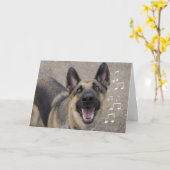 De Kaart van de Verjaardag van de Duitse herder (Gele Bloem)