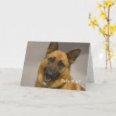 De Kaart van de Verjaardag van de Duitse herder (Gele Bloem)