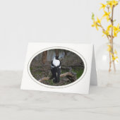 De Kaart van de Verjaardag van de ekster (Gele Bloem)