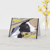 De Kaart van de Verjaardag "van de Geit van de (Gele Bloem)