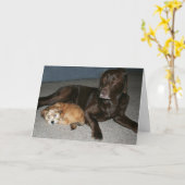 De Kaart van de Verjaardag van de grote Broer (Gele Bloem)