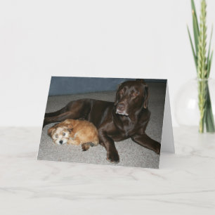 De Kaart van de Verjaardag van de grote Broer